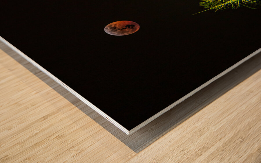 JBS 8023  Impression sur bois