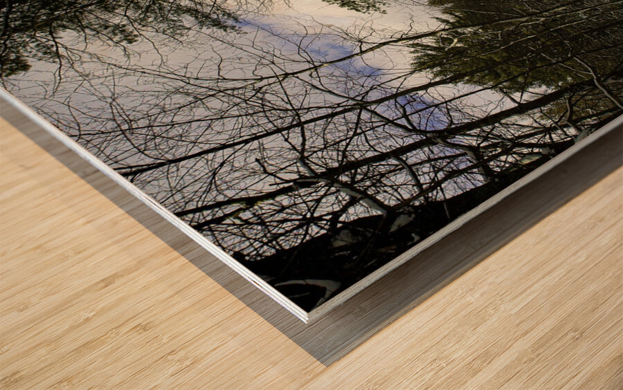 JBS 5227 16x20 Impression sur bois