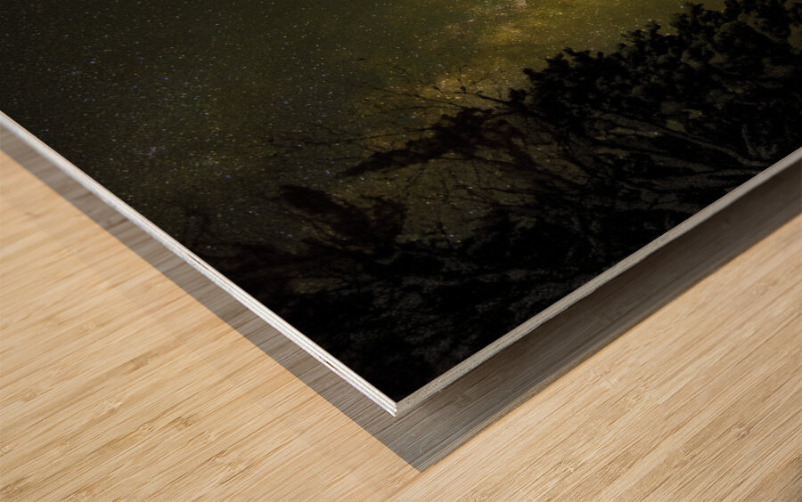 JBS 4430 Impression sur bois