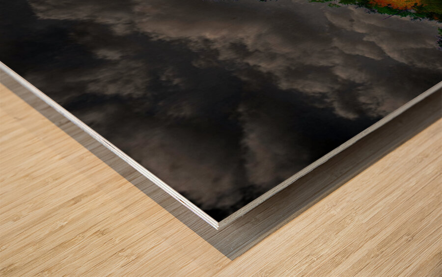 JBS 4749  Wood print