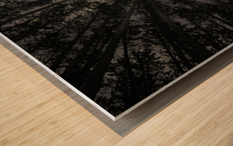 JBS 5553  Impression sur bois