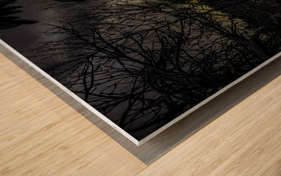 JBS 4554  Impression sur bois