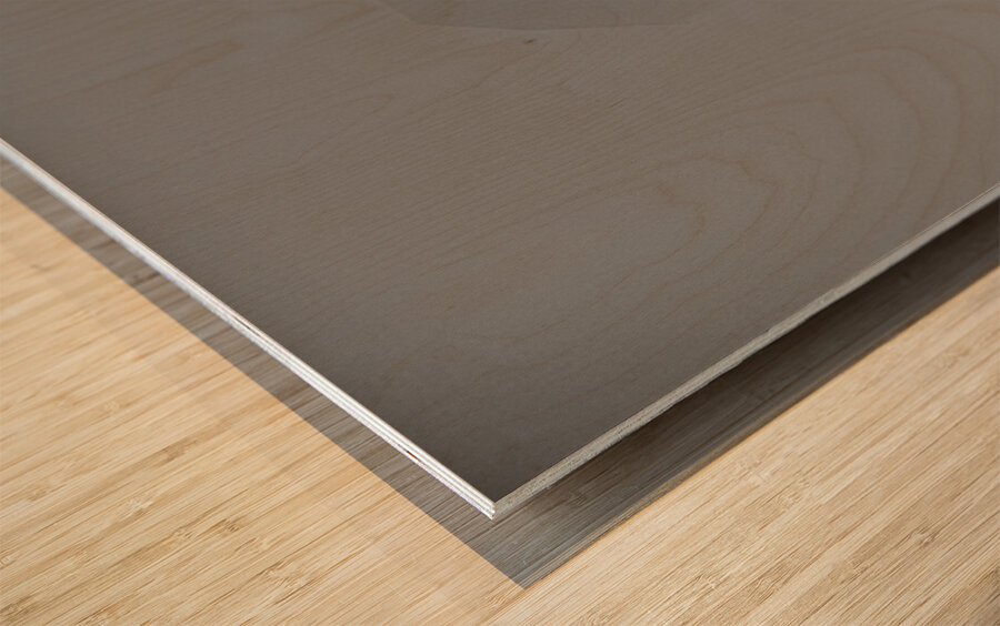 JBS 7690 Impression sur bois