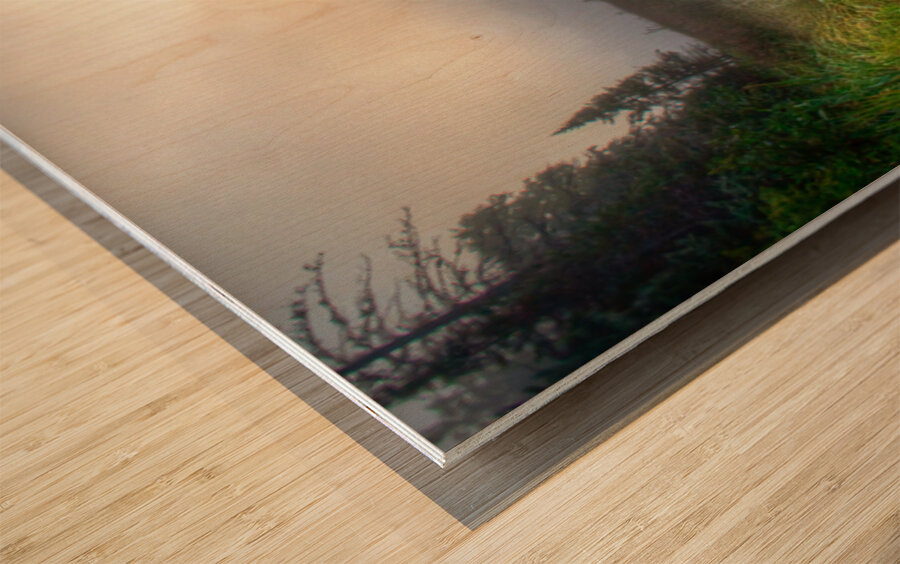 JBS 2558 Impression sur bois