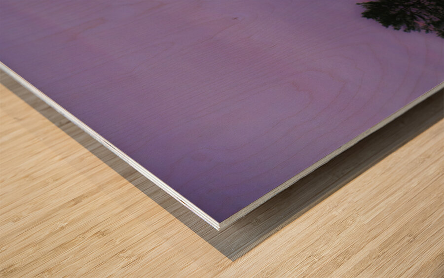 JBS 5142 Impression sur bois