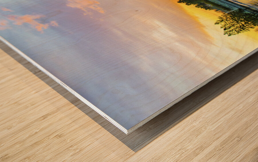 river 2020 Wood print