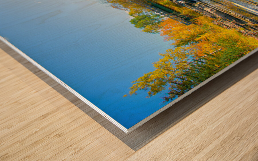 JBS 7000 Impression sur bois