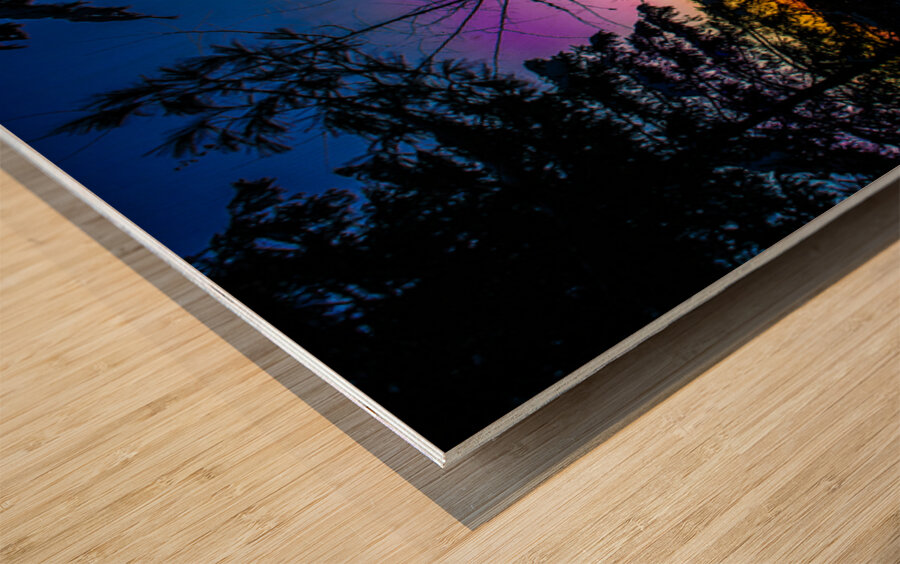 JBS 7929 Impression sur bois