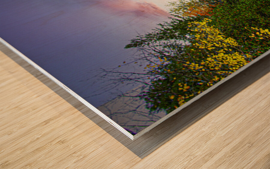 ZJS 5785 Impression sur bois