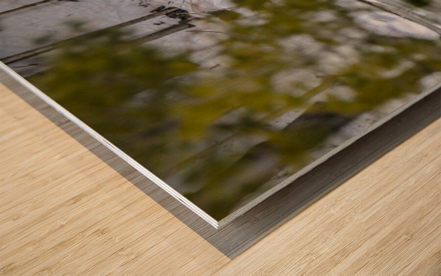  JBS5840 1 Wood print