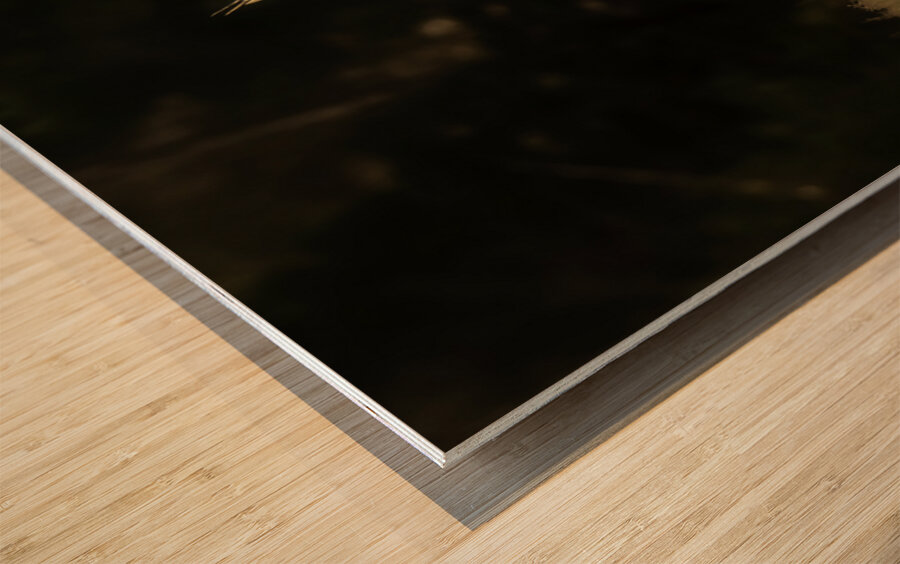 JBS 0918 Impression sur bois