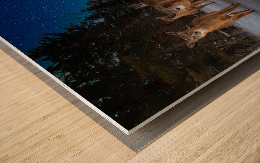 JBS 3174 2  Impression sur bois