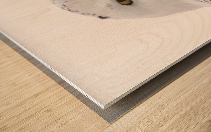 DSC 1876 2 Impression sur bois