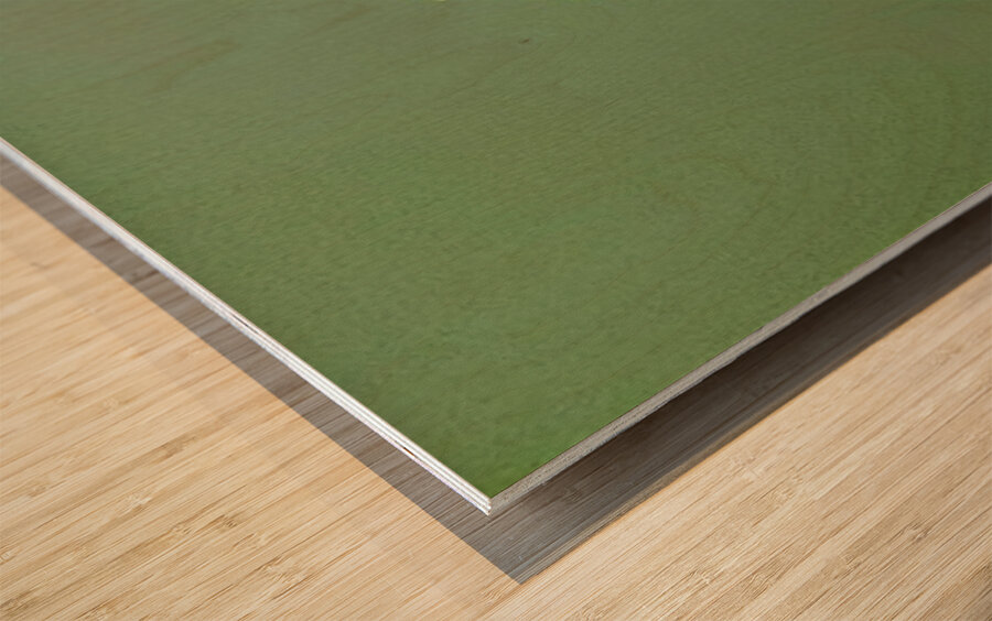 JBS 4152 Impression sur bois