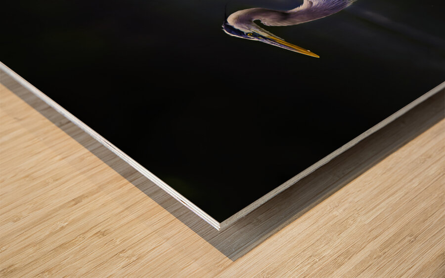 JBS 1706 2 Wood print