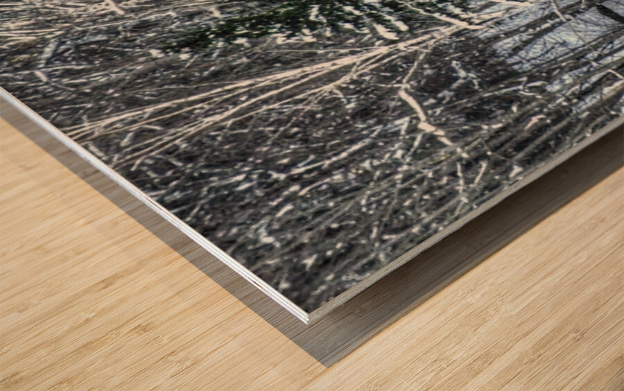 DSC 5638 Impression sur bois