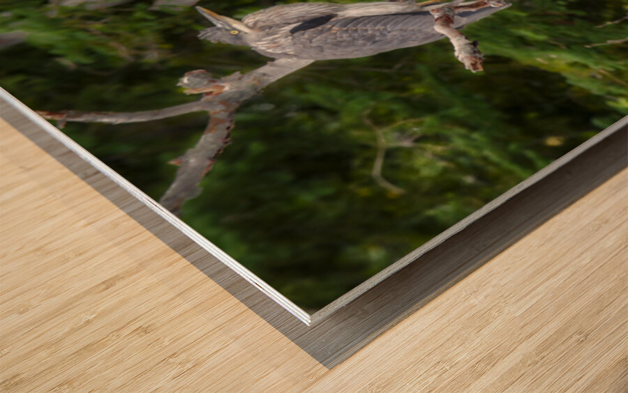 JBS 3060 Impression sur bois