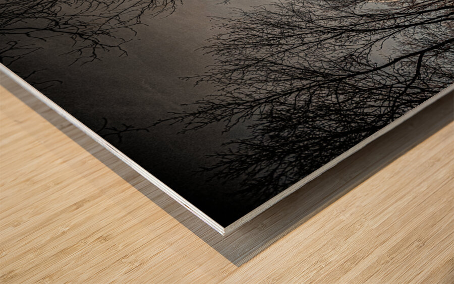 JBS 0236  Impression sur bois