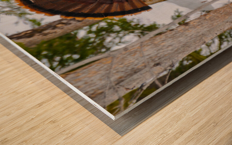 JBS 5958 Impression sur bois