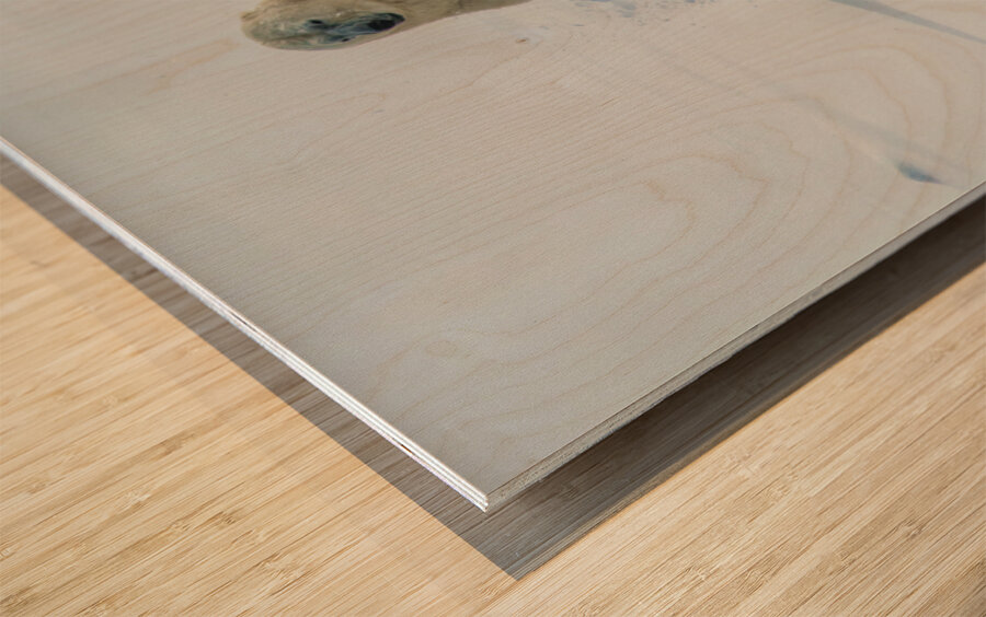 JBS 9346 2 Impression sur bois