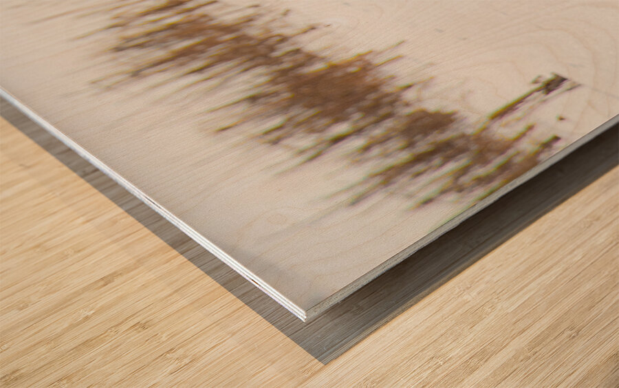 JBS 8846 Impression sur bois