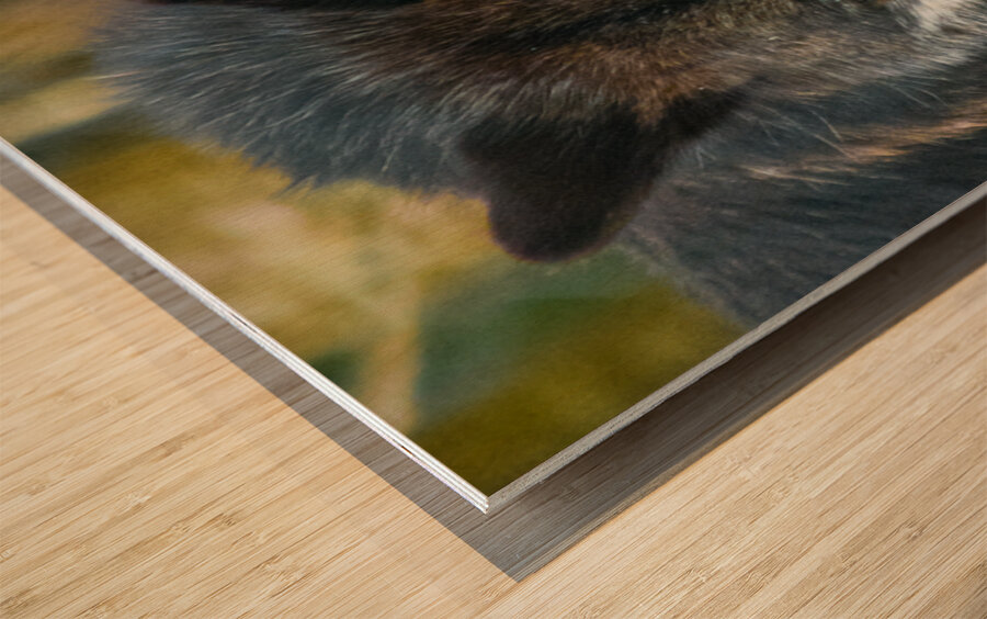 JBS 9093 Impression sur bois