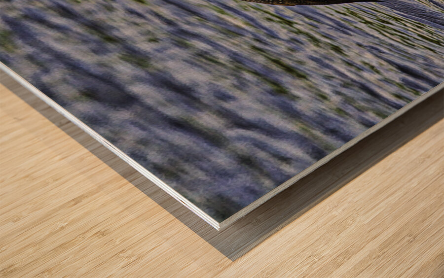 JBS 23862 Impression sur bois