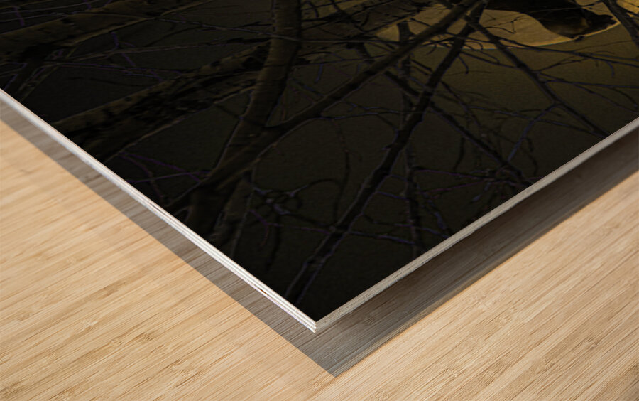 JBS 5294 2 Wood print