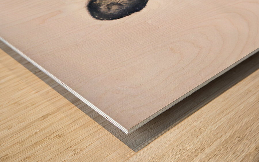 JBS 5691  Impression sur bois