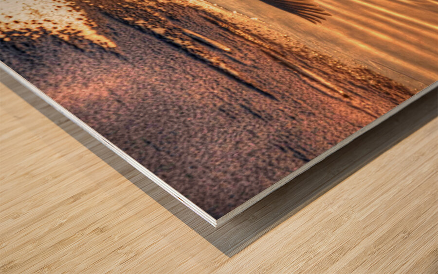 JBS 5877  Impression sur bois