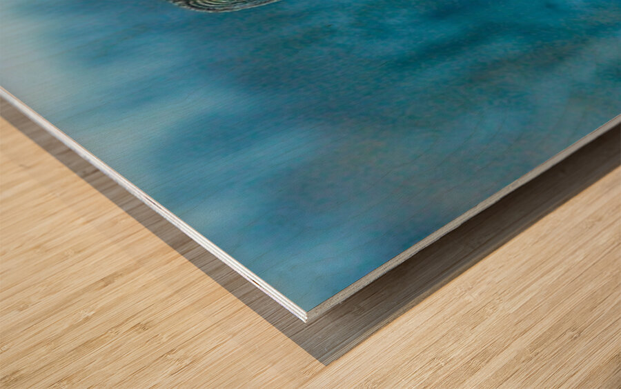 jbs 5420-2 Impression sur bois