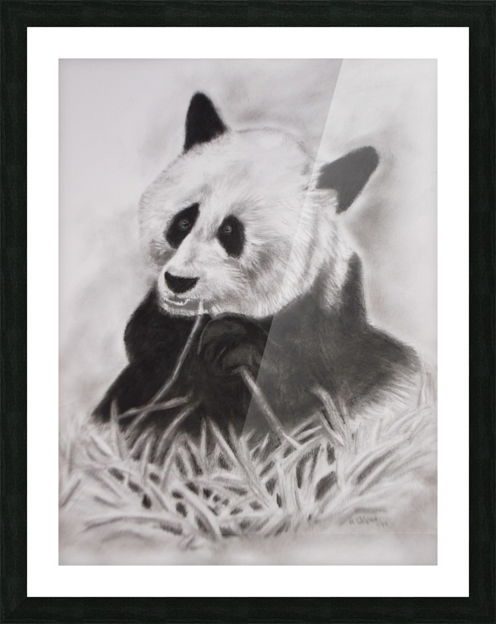 Panda Picture Frame print