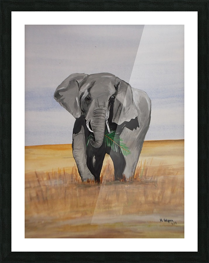 African Elephant Picture Frame print