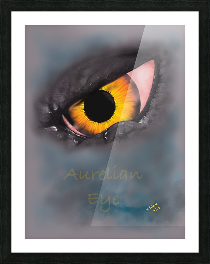 Aurelian Eye Picture Frame print