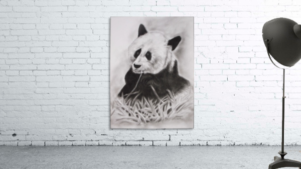 Panda Wall Preview