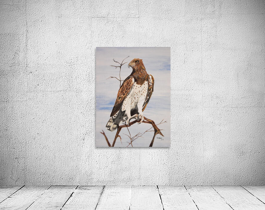 Martial Eagle Wall Preview