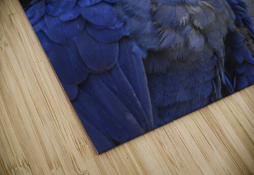 Blue Parrot India Blake puzzle