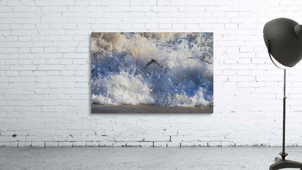 Sand Pipers Wall Preview