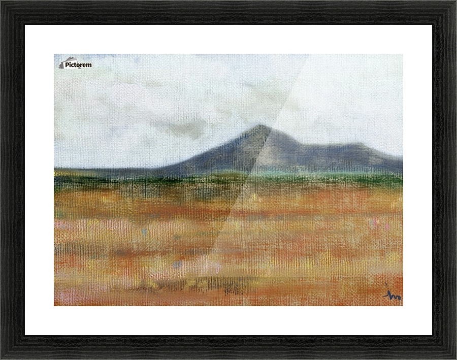 2437 Picture Frame print