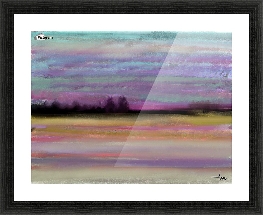 0162 Picture Frame print