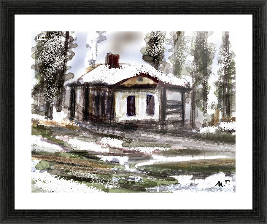0003 Picture Frame print