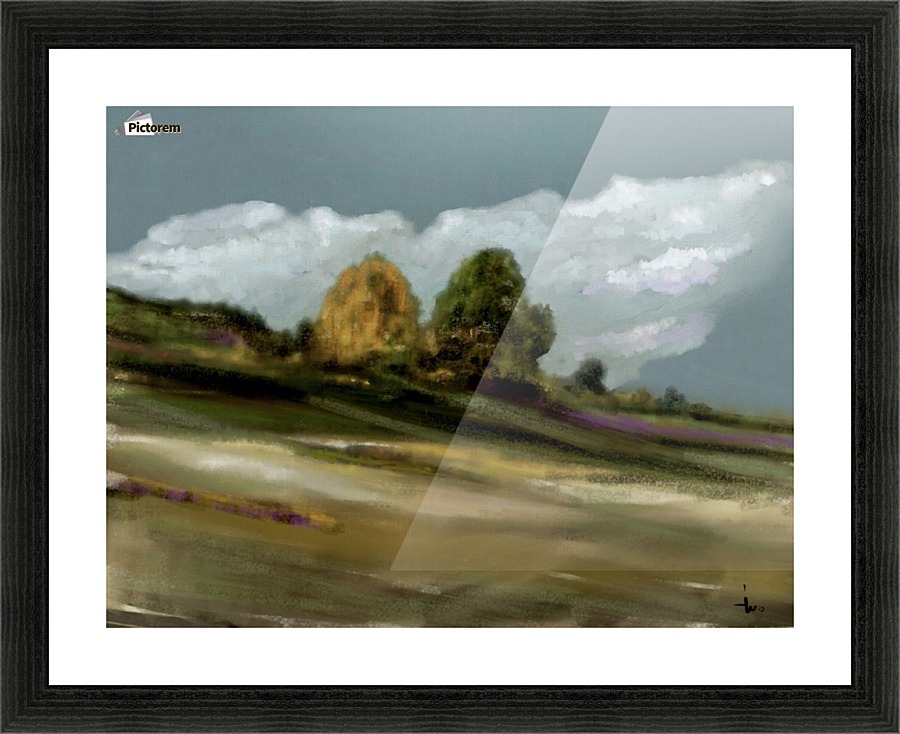 0136 Picture Frame print