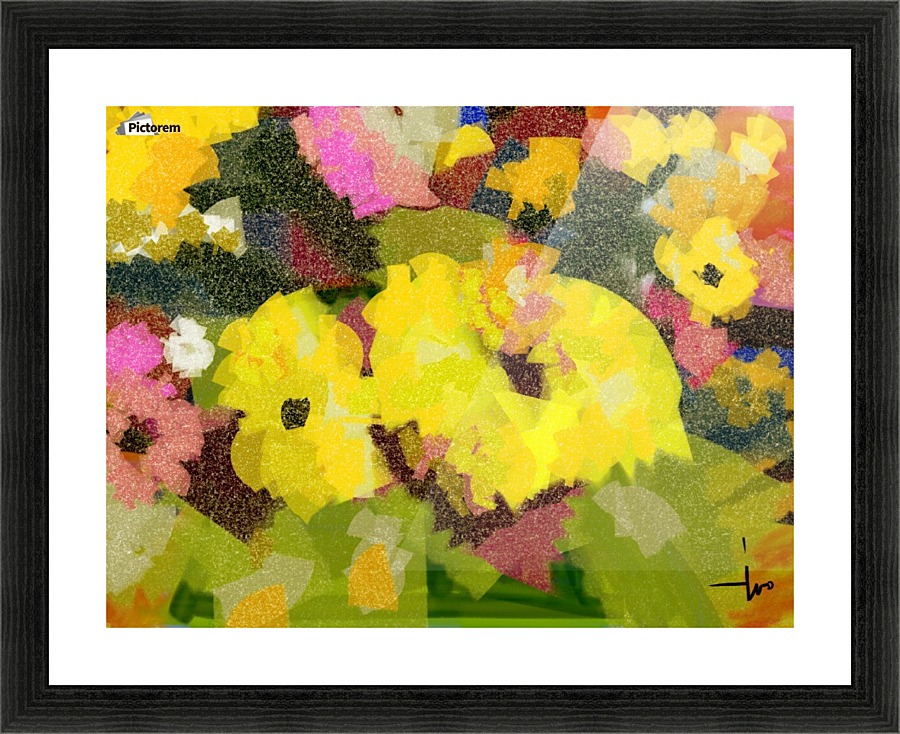 0058 Picture Frame print