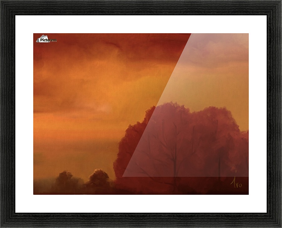 0238 Picture Frame print