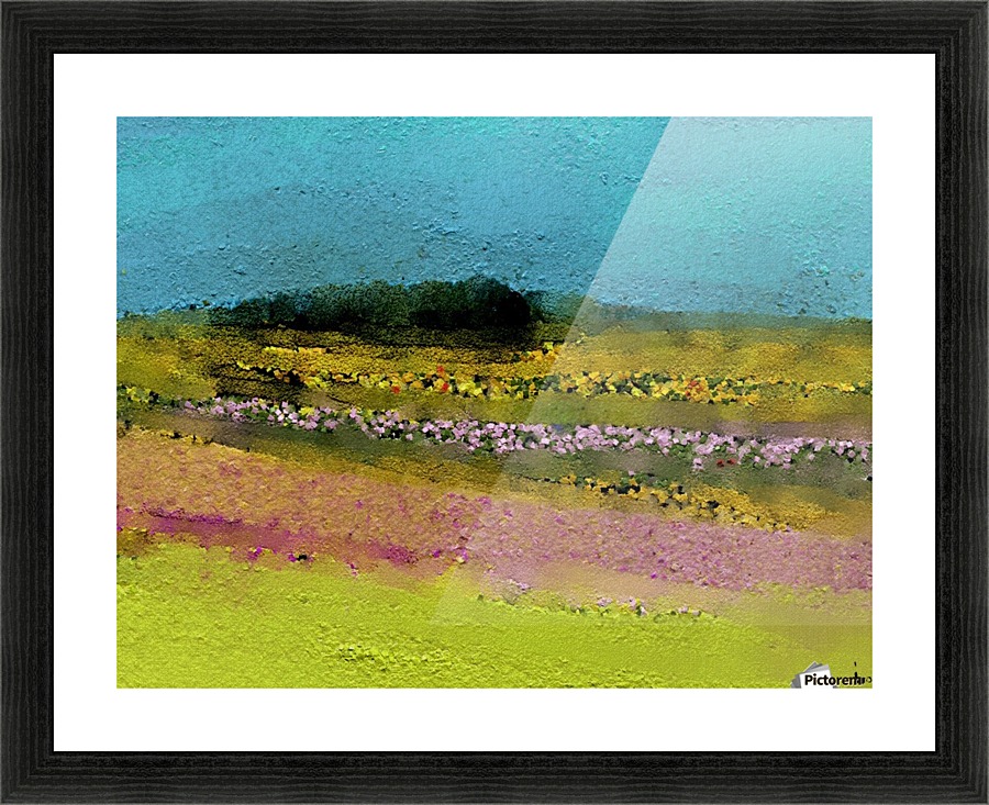 0268 Picture Frame print