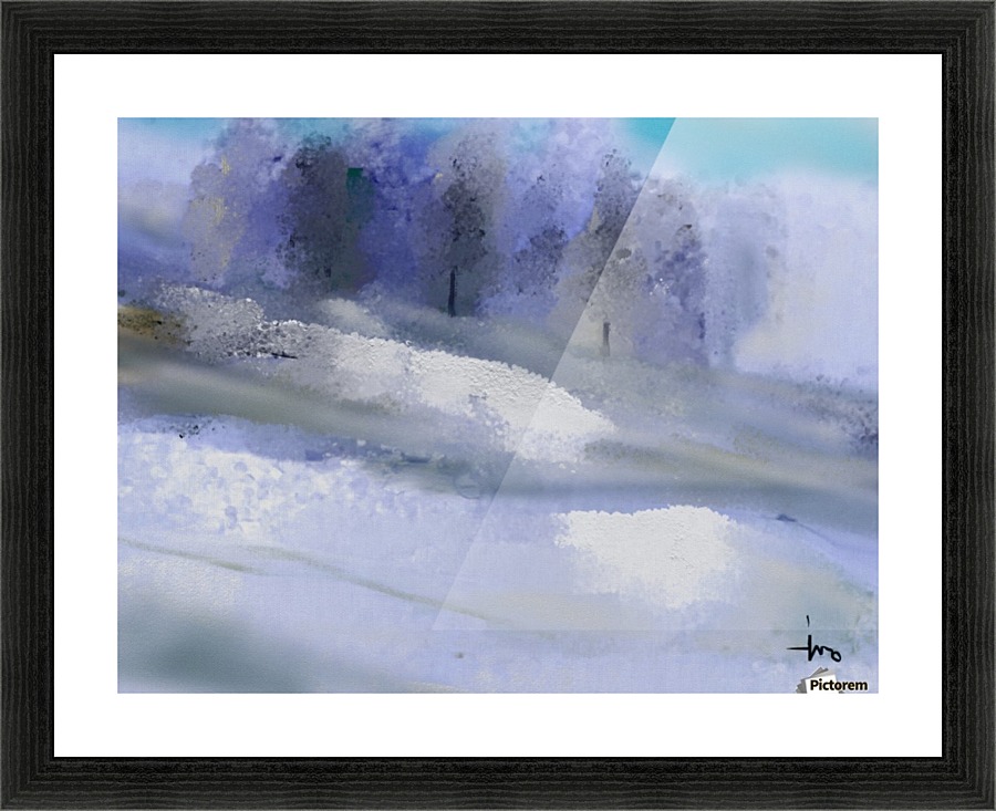 0264 Picture Frame print