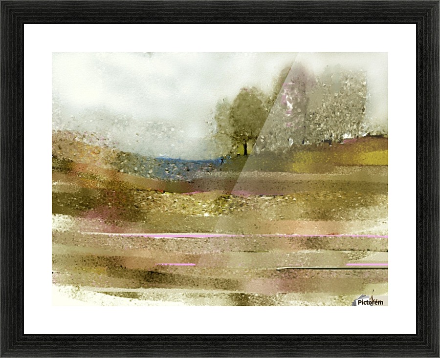 0272 Picture Frame print