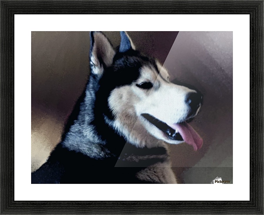 0275 Picture Frame print