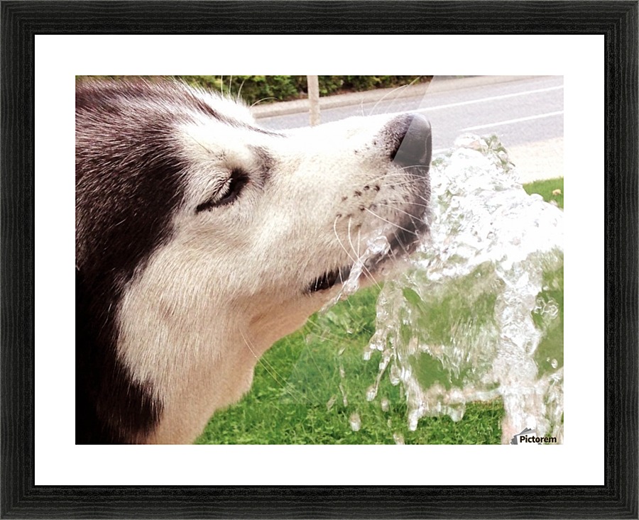 0305 Picture Frame print