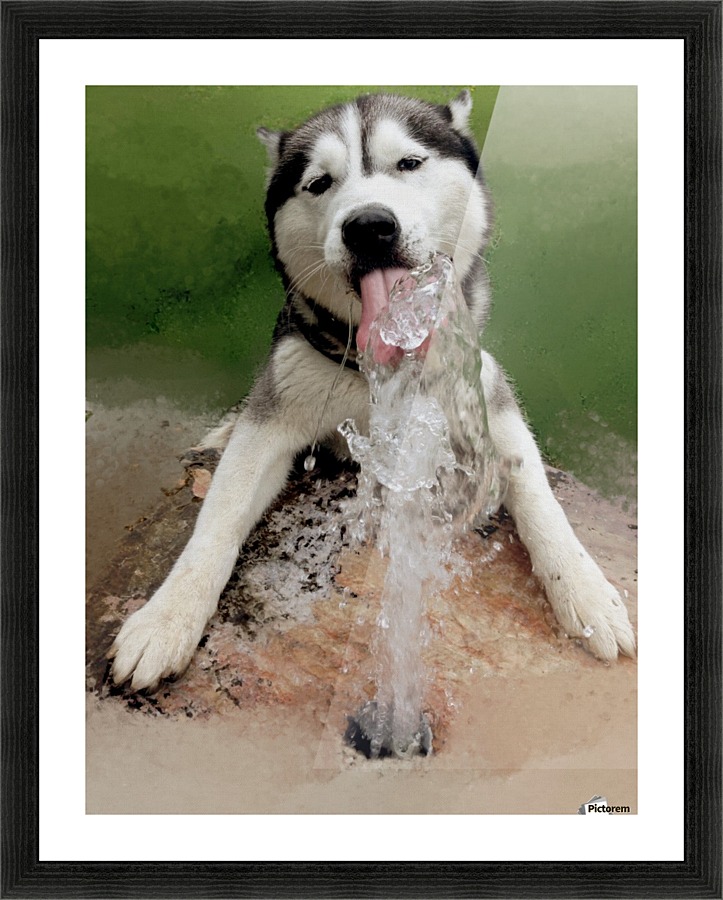 0307 Picture Frame print